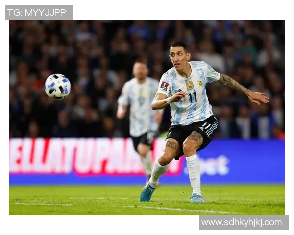 如何通过细节刻画展现足球明星迪马利亚的运动风采与个人魅力