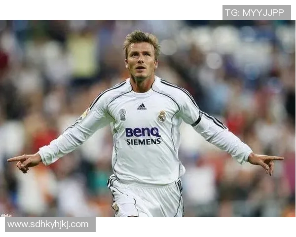 聚焦以塞黑足球球星成长历程与辉煌成就的深度解读