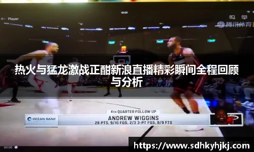 热火与猛龙激战正酣新浪直播精彩瞬间全程回顾与分析